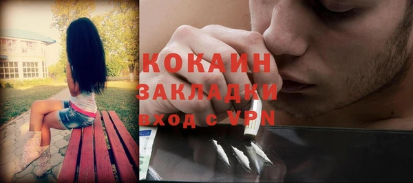 хмурый Абаза