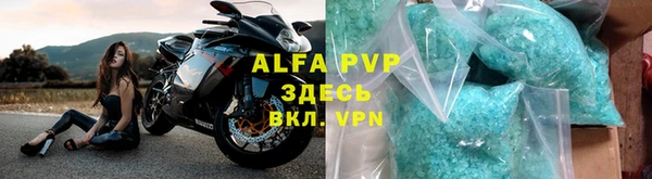 хмурый Абаза