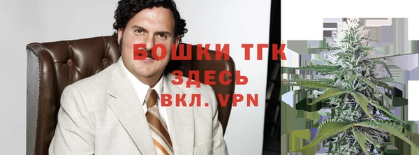 хмурый Абаза