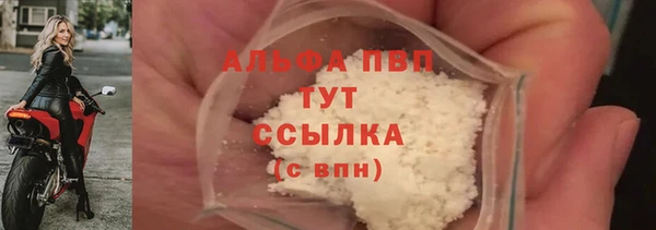 хмурый Абаза