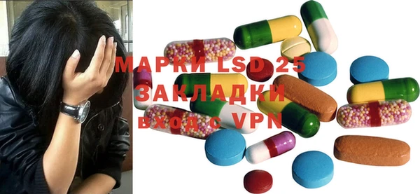 хмурый Абаза