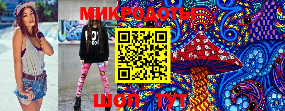 Псилоцибиновые грибы Psilocybine cubensis Кашира