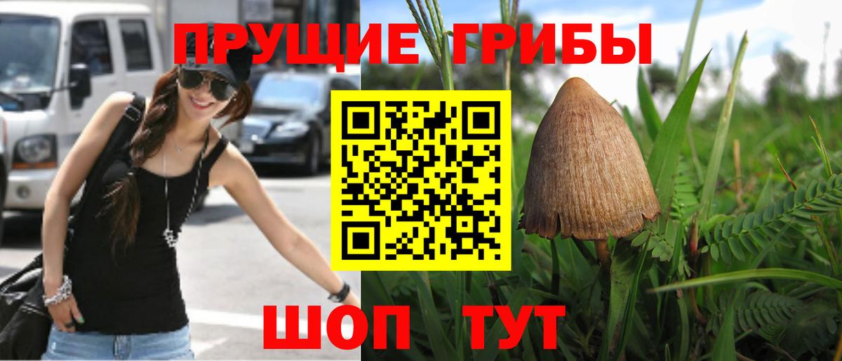 Кашира  где можно купить наркотик  Вход с VPN  Псилоцибиновые грибы мухоморы  Псилоцибиновые грибы MAGIC MUSHROOMS 